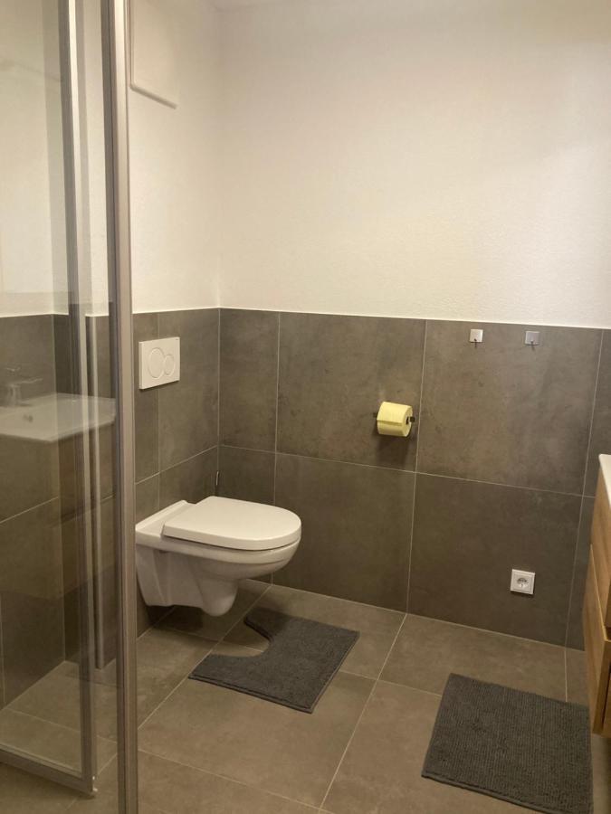 Appartement Stefanie ホラースバッハ・イム・ピンツガウ エクステリア 写真